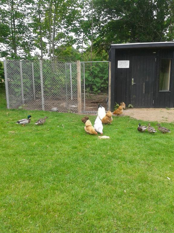 Billund Farm Holiday المظهر الخارجي الصورة